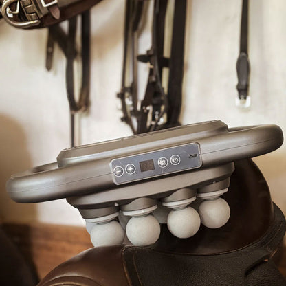 8 koppen paardenmassagepistool