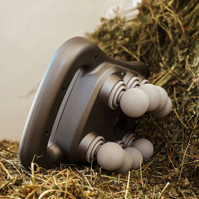 8 koppen paardenmassagepistool