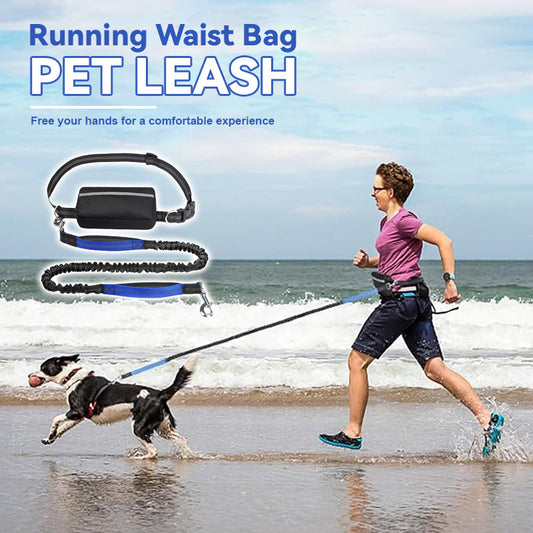 Hardloopheuptas met riem voor huisdieren