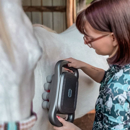 8 koppen paardenmassagepistool