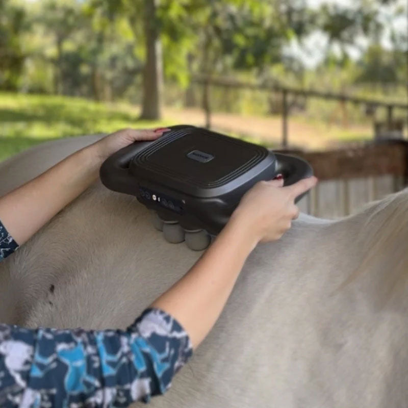 8 koppen paardenmassagepistool
