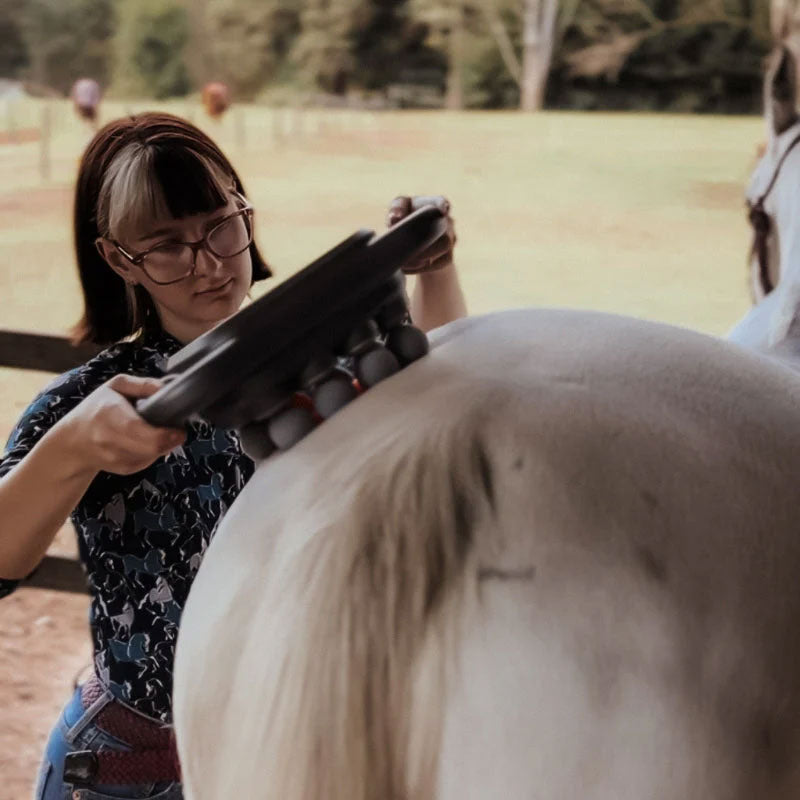 8 koppen paardenmassagepistool