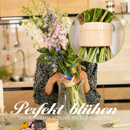 Spiraalvormige Ikebana Stengelhouder
