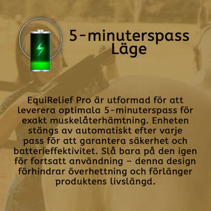 8 koppen paardenmassagepistool