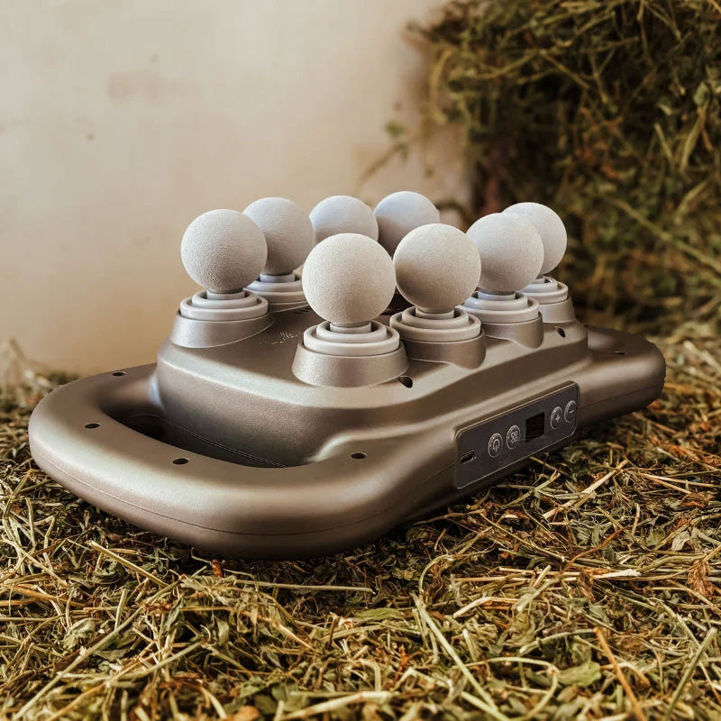 8 koppen paardenmassagepistool