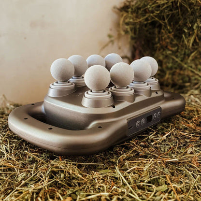 8 koppen paardenmassagepistool